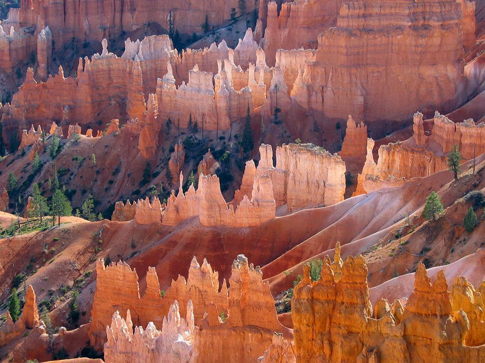 Pacchetto l'Oro dell'Ovest / Southwest Express — 14